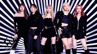 bXd 'First Look' Profile Video #1
