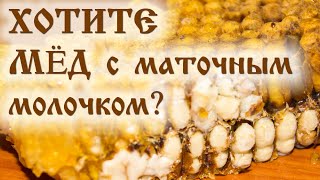 Хотите мёд с маточным молочком?