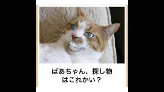 ボケて殿堂入り ボケて最新画像まとめ１５ 腹筋崩壊吹いたら負け 電車内食事中は閲覧注意 Bokete傑作まとめ１５