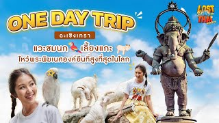 One Day Trip จ.ฉะเชิงเทรา ชมสวนปาล์มฟาร์มนก ไหว้พระพิฆเนศเนื้อสำริด องค์ยืนที่สูงที่สุดในโลก