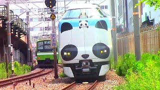 【親子パンダくろしお】特急パンダくろしお　サステナブルSmileトレイン　天王寺駅