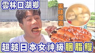 【雲林】鰻魚的故鄉!!夢幻極品外銷日本胭脂鰻《世界第一等》1054集精華版