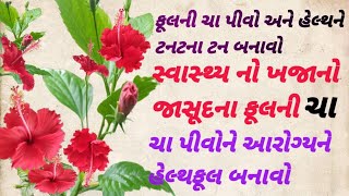 જાસૂદ || ફુલની ચા || હેલ્થફૂલ || નિરોગી || આરોગ્ય || Hibiscus