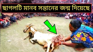 মহিলা ও ছাগলের অবাক করা সত্য কাহিনী | আল্লাহর কুদরত | ইসলামিক কাহিনী || story of woman and a goat ||