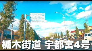 【車載動画】栃木県 宇都宮市 栃木街道 獨協医科大学病院 陽南通り 国道4号 越戸通り 平山街道 4K 2022