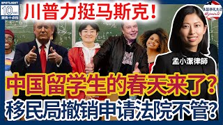 留学生的春天要来了？川普力挺马斯克改革H1B？最高院：移民局撤销申请法院不管！AI初创公司创始人融资千万，却因这理由拒NIW！ 11月，非法入境人数创四年史低！| 美国移民生活20250102