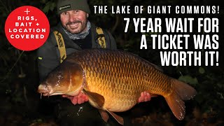 Winter Carp Fishing on Frimley with Dave Levy