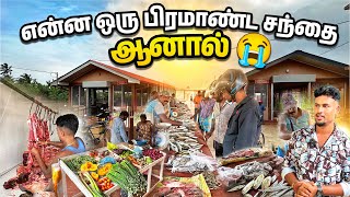 யாழ் - புத்தூரில் இப்படி Clean' ஆக சந்தை எங்கும் நாம் பார்த்தது இல்லை / Best Beautiful Market