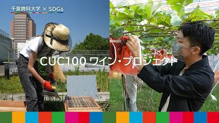 千葉商科大学×SDGs　CUC100ワイン・プロジェクト