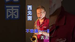 西北雨/紀露霞/薩克斯風/阿亮sax#tiktok#fyp#foryou#推播#music  #thejimmysband #funkyblues  #vinhlangthang