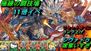 【極練の闘技場11倍】両サレ＆シヴァドラ、ズラしpt！！ランク1100ガチャ来た時の為に！シヴァドラどんだけ活躍してるんだ...『パズドラ』