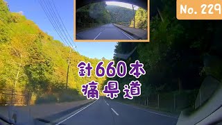 【ツインドライブ-229】針660本 痛県道(奈良県道28号 針→室生/国道369号の交点同士を結ぶ)