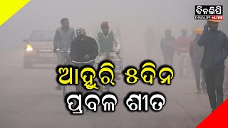 କୁହୁଡି ପାଇଁ ୪ ଜିଲ୍ଲା କୁ ୟେଲୋ ଆଲର୍ଟ || Weather || DinalipiLive