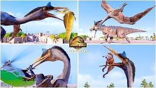 Quetzalcoatlus All Perfect Animations 🦖 Jurassic World Evolution 2 Dominion Dinosaur DLC Pack