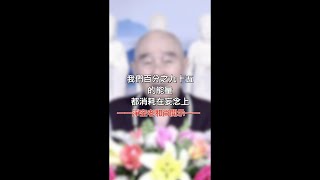 淨空老和尚開示：我們百分之九十五的能量，都消耗在妄念上。