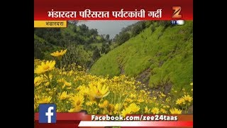 भंडारदरा । कळसुबाई-हरिश्चंद्रगड परिसरात फुलांचा रंगोत्सव