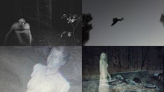 The Complete CRYPTIDS Iceberg Explained