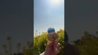 菜の花畑で日本一周〜地球回し〜ワールウィンド #kendama #けん玉 #黄桜じーじのyoutubeけん玉塾