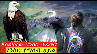 ጠንካራው የ 70 ዓመት ባለፀጋው ንስር /ለሰዎች ተምሳሌት ሊሆን የሚገባ#donkey tube #eagle mentality  #eagles #ንስር ተፈጥሮ