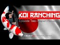 KOI RANCHING S1EP2 JAPAN RECAP 2020