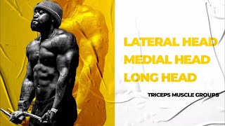 Destroy Arms in 25 minutes | Tricep & Bicep workout | Mike Rashid