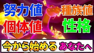 【ポケモン 剣盾】初心者必見！今からポケモンを始める人向けに覚えるべきことをまとめてみました！初級編!!【ソードシールド】【ぽんすけ しろ】