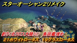 スターオーシャン２リメイク　釣り（北クロス大陸川）　魚図鑑埋め　２１ホワイトロータス　１９グラスロータス　＃２１１　【セカンドストーリーR】