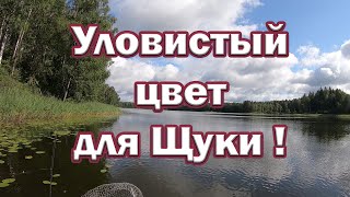 СЕКРЕТНЫЙ ЦВЕТ ВОБЛЕРА НА ЩУКУ! Какой цвет лучше атакует Щука.  Рыбалка на спиннинг.