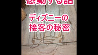 【感動する話】ディズニーの接客の秘密【涙腺崩壊】