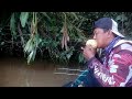 COBA DAN BUKTIKAN SENDIRI.!! MANCING MANIA UDANG GALAH | PRAWN FISHING