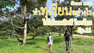 Boonsakgarden Journey EP11 ความรู้ทุเรียนใหม่2024 จันทบุรี (EN SUB) #ทุเรียน #เกษตร #ความรู้ #ชาวสวน