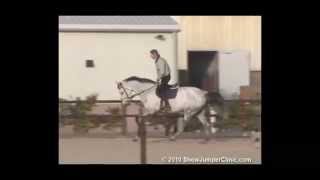 ShowJumperClinic.com presents Eric van der Vleuten Riding \u0026 Lecturing Saforet sample 11282006