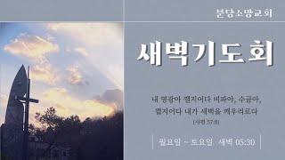 [새벽기도회]  열왕기하 2:15-25 | 2024.09.04 | 안문용 목사