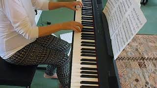 Elizabeth Bell   JS Bach Variation on Toccata \u0026 Fugue in D Min