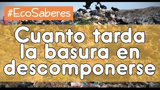 😱 CUÁNTO DEMORA LA BASURA EN DESCOMPONERSE  ☞ #EcoSaberes