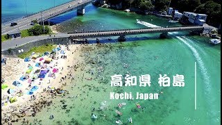 高知ドローン撮影：柏島、驚きの青さを鳥の目線で Kochi, Japan