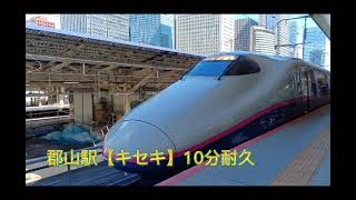 郡山駅新幹線ホーム【キセキ】10耐久