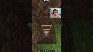 Minecraft Fake Ladder (Sigma Boy)