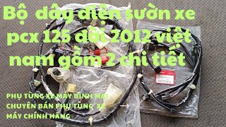 đường dây điện sườn xe pcx 125 đời 2012 lắp ráp tại Việt Nam đường dây điện khách 2012 nhập thái lan