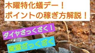 【ザ・アンツ】特化蟻デー！のポイント稼ぎ方解説！