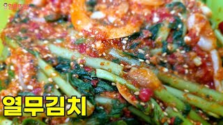 ♥열무김치♥ 새콤달콤 열무 김치  라면에 먹으면 정말 꿀맛입니다ㅣ열무국수 정말 맛있어요ㅣ김치담그는법ㅣ여름열무김치ㅣ정말맛있습니다ㅣ