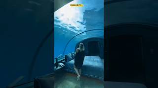 Hotel under the sea is so magical|🏩💦🌊🌊|(MALDIVES) |🇲🇻🇲🇻|#ytshorts #viral #hotel #underwater