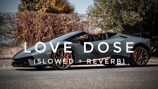 Love Dose || (Slowed + Reverb) Yo Yo Honey Singh Song Lofi