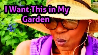 Plants You Will See in My Garden Dropping Seeds‼️