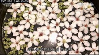 20130123《靜思晨語。法華經》心淨入法循善緣