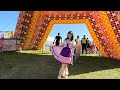 🍺Oktoberfest in Australia 🇪🇺өөрийн амьдарч байгаа сумын төвөө харуулья 😁