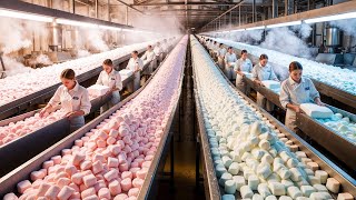 How Are Marshmallows Made | Inside The Factory