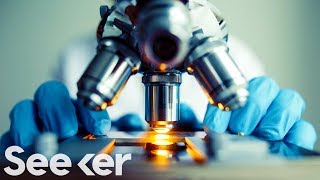 How a Government Shutdown Screws Up Scientific Research