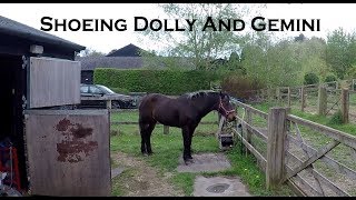 Horseshoeing Dolly & Gemini