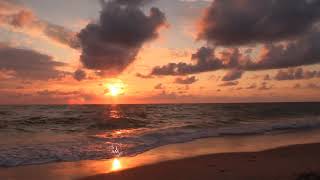 Pal pal dil ke paas tum rahati ho || sunset status || World ocean Day  🌇 status || SIAM HOQUE